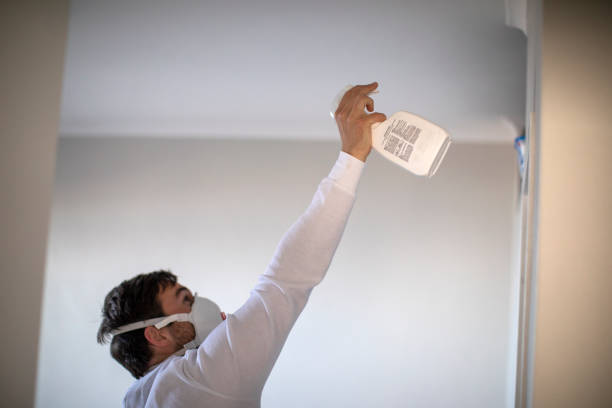 Best Mold Testing  in Moorhead, MS