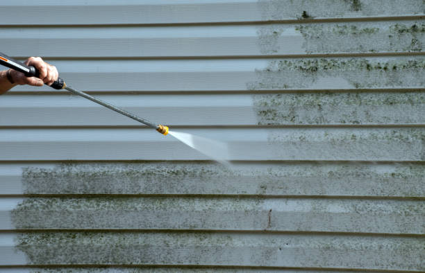 Best Mold Removal and Inspection  in Moorhead, MS
